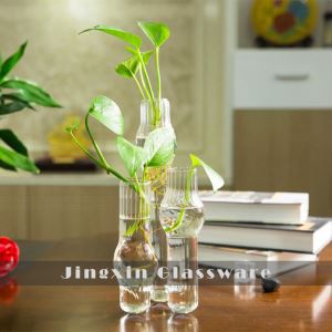 Borizonikat Bud Shisha Vazosu Ribbed Tarmoq ichida