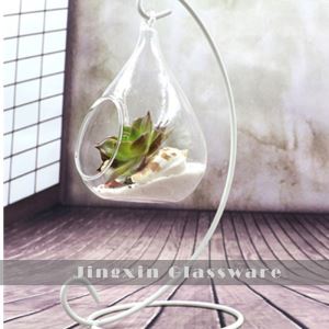 Shisha shisha terrarium